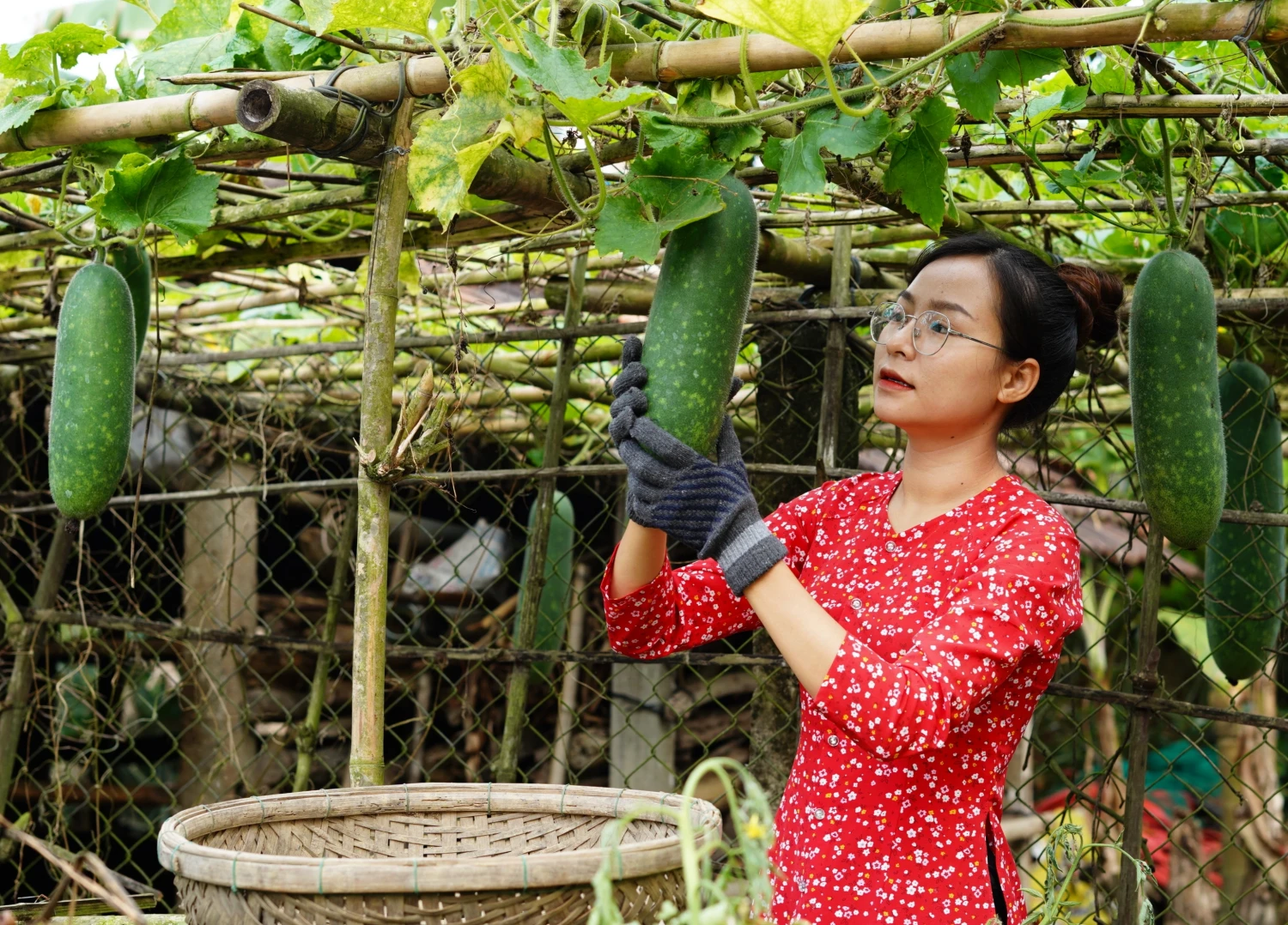 Thôn nữ xinh đẹp Quảng Nam "đổi đời" nhờ làm võng độc, lạ, lội bùn bắt cá